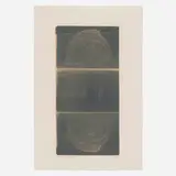 Robert Rauschenberg, The Razorback Bunch (Etching II), 1980, photo etching on Kitakata Chine-collé to Arches