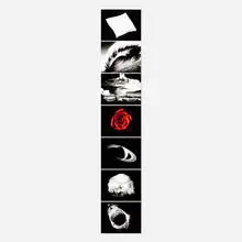 Robert Longo, Essentials (from the Forty Are Better Than One series), 2009, seven-part leporello, digital pigment print on Hahnemühle Rag