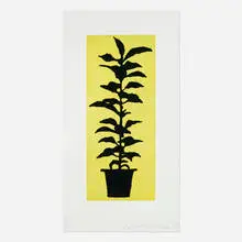Donald Baechler, Potted Plant, 2005, aquatint and drypoint etching in colors