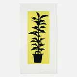 Donald Baechler, Potted Plant, 2005, aquatint and drypoint etching in colors