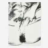 Andy Warhol, Untitled (from the Sex Parts series), 1978, screenprint on HMP