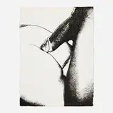 Andy Warhol, Untitled (from the Sex Parts series), 1978, screenprint on HMP