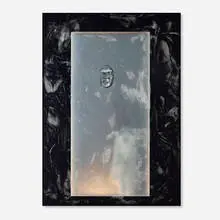 Lucie Stahl, Descendant of Ape, 2014, inkjet print on aluminum with epoxy resin