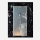 Lucie Stahl, Descendant of Ape, 2014, inkjet print on aluminum with epoxy resin