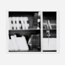 Louise Lawler, This Way I Can't Fight, 2002, gelatin silver print