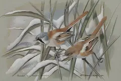 Untitled by Basil Ede, watercolour and gouache 20 x 30.5cm Provenance: With Rountree Tryon Galleries., sold Jun 2024
