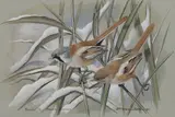 Basil Ede, Untitled, watercolour and gouache 20 x 30.5cm Provenance: With Rountree Tryon Galleries.