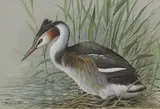 Basil Ede, Untitled, watercolour and gouache 20 x 29cm Provenance: With the Tryon Gallery