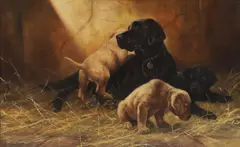 Untitled by John Trickett, oil on canvas 61 x 102cm, sold Jun 2024