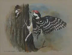 Untitled by Basil Ede, watercolour and gouache 21.5 x 27.5cm Provenance: With Rountree Tryon Galleries, sold Jun 2024