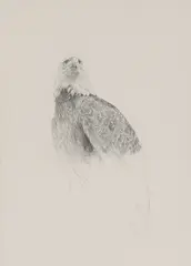 Untitled by Raymond Ching, pencil 73 x 50cm Provenance: With Russell A Fink Gallery, sold Jun 2024