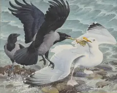 Charles Tunnicliffe, Untitled, watercolour over pencil 47 x 57cm Exhibited: The Royal Academy Summer Exhibition