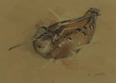 Winifred Austen, Untitled, pencil and coloured pastel 12.5 x 18cm Provenance: With the Wildlife Art Gallery