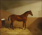 Martin Ward, Untitled, oil on canvas 50 x 61cm