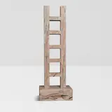 Therman Statom, Ladder, painted glass