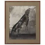 Francisco Icaza, Cuervo, Tinta sobre papel