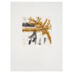 Sandra Pani, Untitled, Grabado al aguafuerte y aguatinta 4 / 200