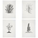 Artistas Varios, Un almanaque de espinas, Grabados al aguafuerte 15 / 100