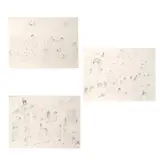 Cristina Rubalcava, Untitled, Litografías 46 / 50, 46 / 50 y 45 / 50