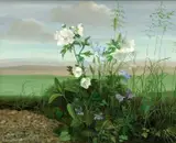 Audrey Johnson, Flowers In A Garden, 1980, Oil on board