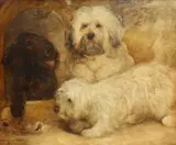 Walter Harrowing, Two Terriers And A Spaniel, Oil on canvas