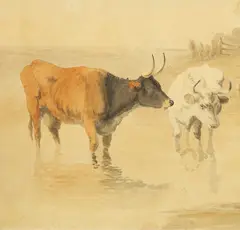 Cattle In A Stream by Robert Hills Ows, Watercolour over pencil, sold May 2023