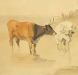 Robert Hills Ows, Cattle In A Stream, Watercolour over pencil
