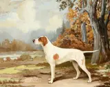 Reuben Ward Binks, Portrait Of A Hound, Gouache