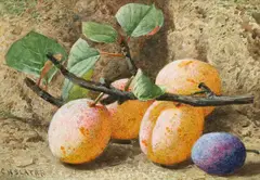 Charles Henry Slater, Pair Still Lifes Of Plums, Watercolour