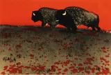 Fritz Scholder, Buffalo and Mate -, Lithograph on paper (one colored)