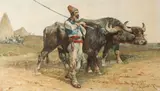 Giuseppe Raggio, A Buffalo Herder -, Watercolor on paper