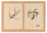 Dagobert Peche, Draft drawings, pencil on paper; 1 signed "Peche", each marked with company stamp and numbered "17" and "18"