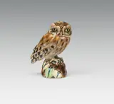 Eduard Klablena, Little owl