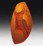 Stanislav Libenský, Glass sculpture "Zoomorphic Stone