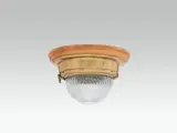 Otto Wagner, Ceiling light