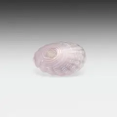 Glass shell by Dale Chihuly, sold Jul 2021