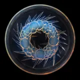 MONTE-DORE BOWL, NO. 396 by René Lalique, offered Oct 2025