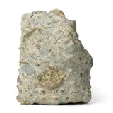 Sara Radstone, SCULPTURAL VESSEL, stoneware