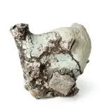 Aneta Regel Deleu, MULTI ORGAN ROCK, porcelain glaze and slip