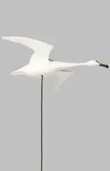 SWAN by Guy Taplin, sold May 2025