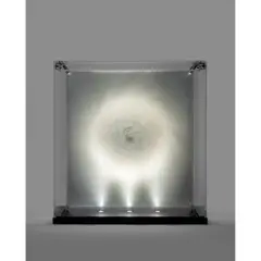 David Spriggs, 'GRAVITY', 2017, 2017