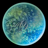 MUGUETS BOX, NO. 41 by René Lalique, sold May 2025