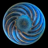 POISSONS BOWL, NO. 1, NO. 3211 by René Lalique, sold May 2025