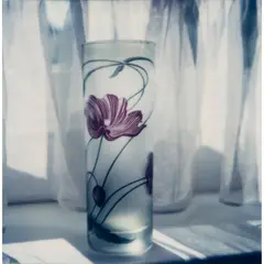 Dorothy Bohm, STILL LIFE - VASE, c.1980-82, 1980
