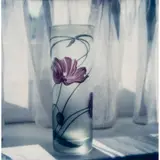 Dorothy Bohm, STILL LIFE - VASE, c.1980-82, 1980