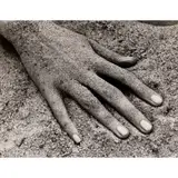Ruth Bernhard, HAND ON BEACH, 1946