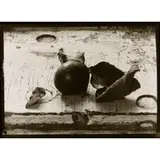 Josef Sudek, PEAR STILL LIFE