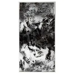 Walead Beshty, PICTURE MADE BY MY HAND WITH THE ASSISTANCE OF LIGHT, 2011, 2011