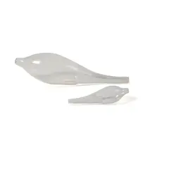 Rosa Nguyen, TWO GLASS FORMS, glass