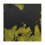 Alexis Harding, COLLAPSED PAINTING, 2000-01, 2000
